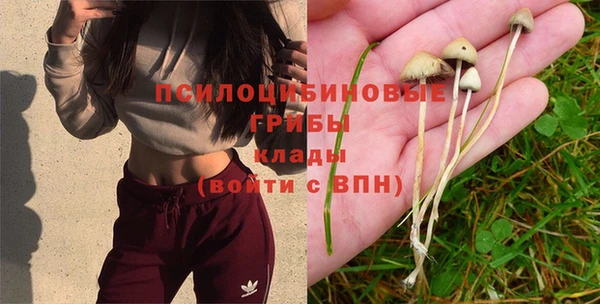 mix Арсеньев