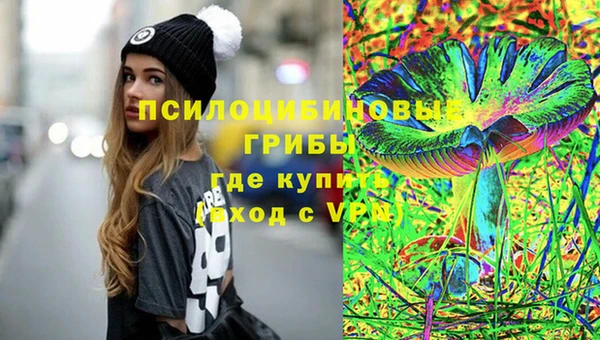 дмт Армянск